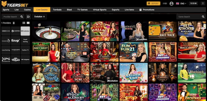 Screenshot of Tigersbet Live Casino interface