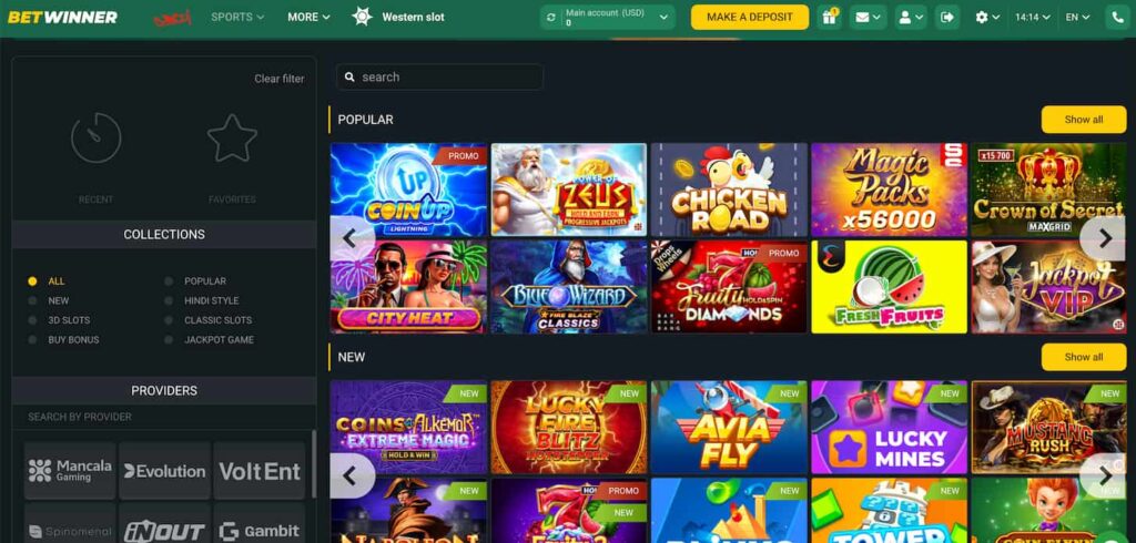 پەیجی گازینۆی BetWinner
