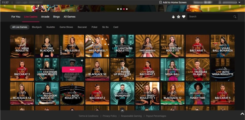 Spin Casino Live Casino Interface